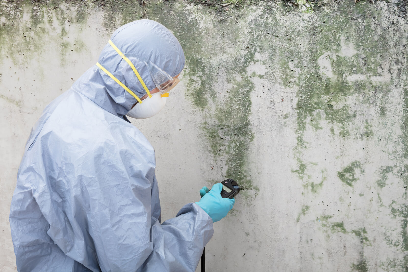 Fairfield Mold Remediation - Mold Removal Ct Services